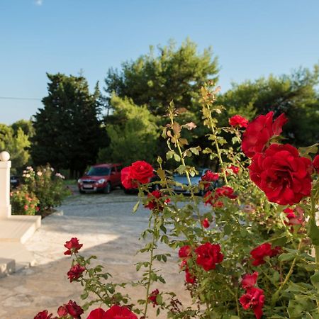 Sun House Apartments Bol Dış mekan fotoğraf